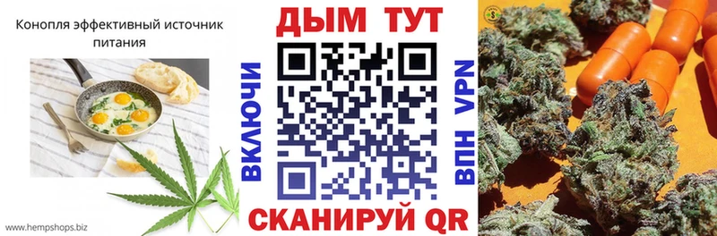 дарнет шоп  Оренбург  Cannafood конопля 