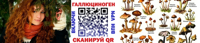 Галлюциногенные грибы Magic Shrooms  Оренбург 